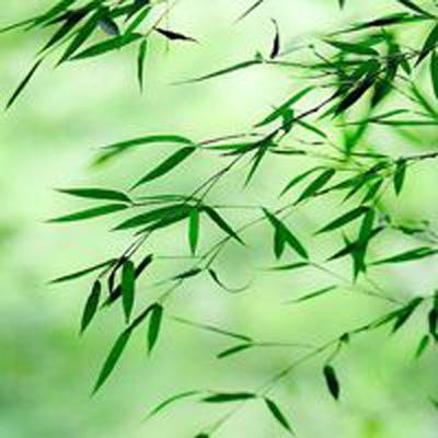 欧洲债市：市场焦点转向战争的经济冲击 欧英长期国债收益率大幅走低